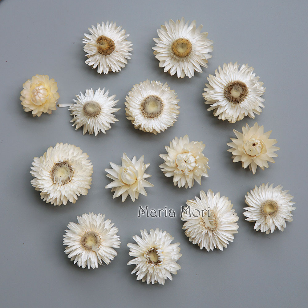 天然のドライでカラフルな菊の花輪,手作りのヘアアクセサリー, - Baby Products For 1 Year Old のレビューと価格
