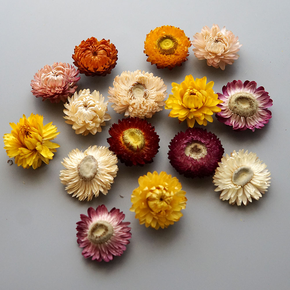 天然のドライでカラフルな菊の花輪,手作りのヘアアクセサリー, - Baby Products For 1 Year Old のレビューと価格