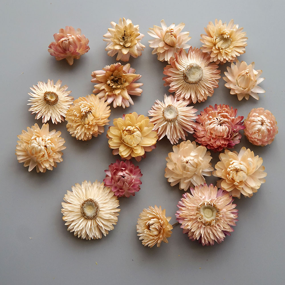 天然のドライでカラフルな菊の花輪,手作りのヘアアクセサリー, - Baby Products For 1 Year Old のレビューと価格
