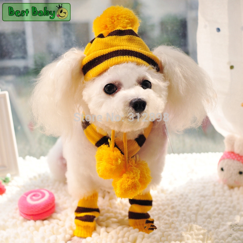 冬のペット子犬アクセサリー犬用ニットストライプ帽子スカーフ靴 - Baby Products Best のレビューと価格